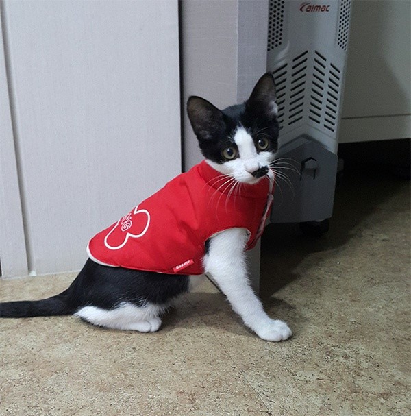 테스트 상품